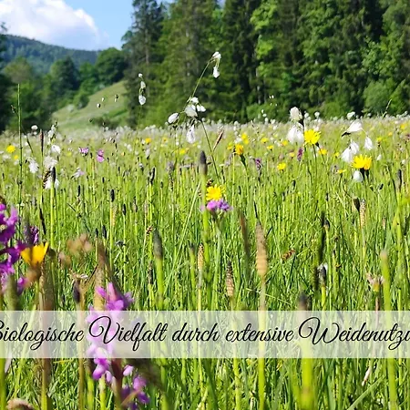 Hintergraber Hof Lenggries