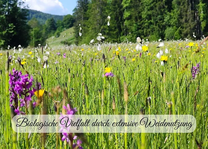 Hintergraber Hof Lenggries