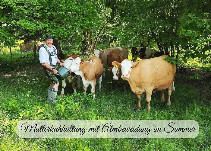 Hintergraber Hof *