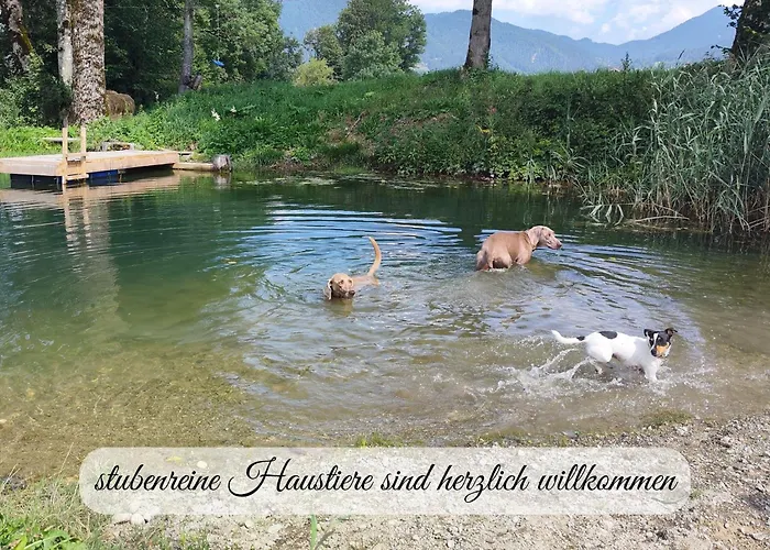 Hintergraber Hof דירה לנגריס